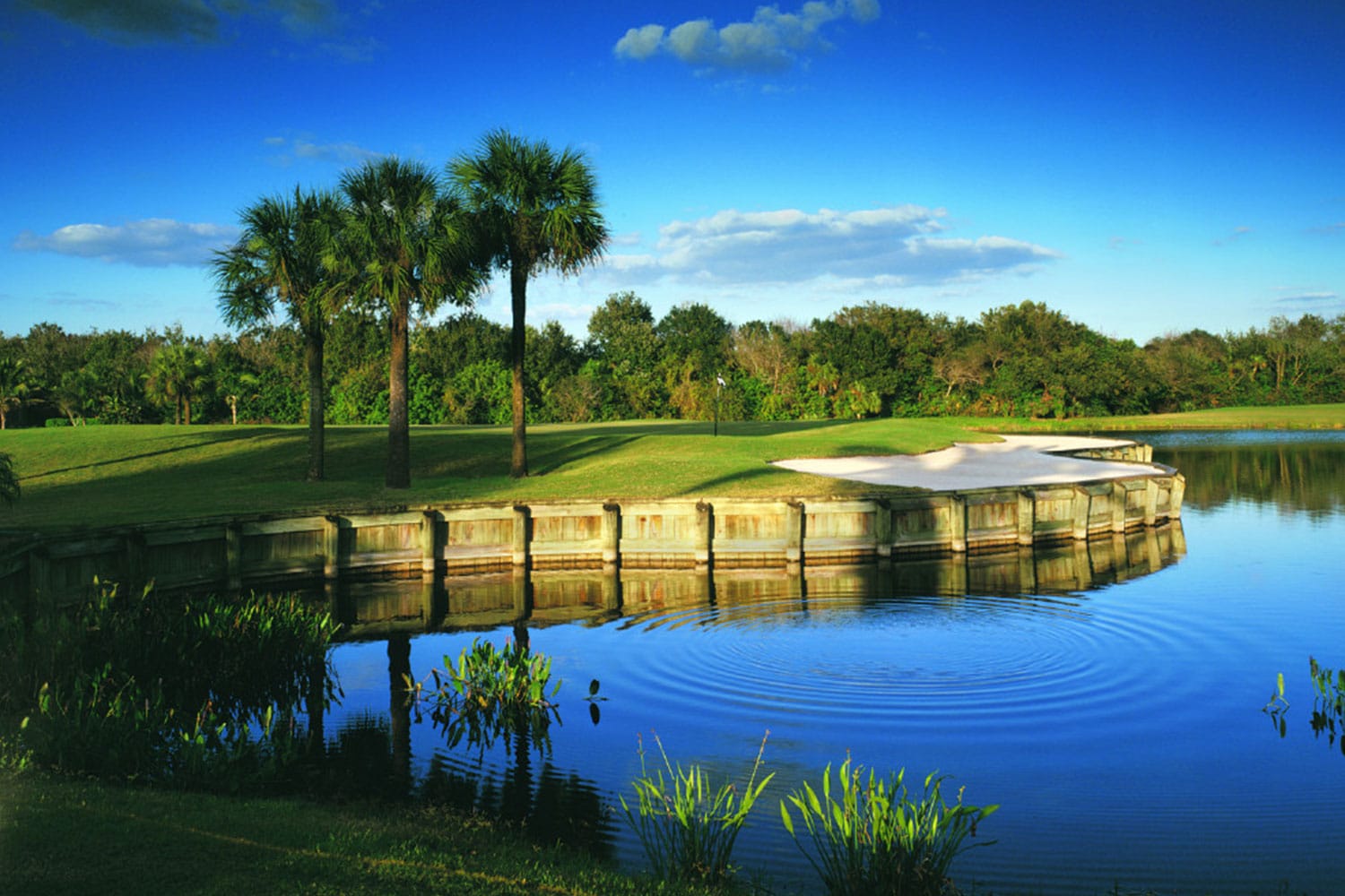Plantation Golf & Country Club - Image 5