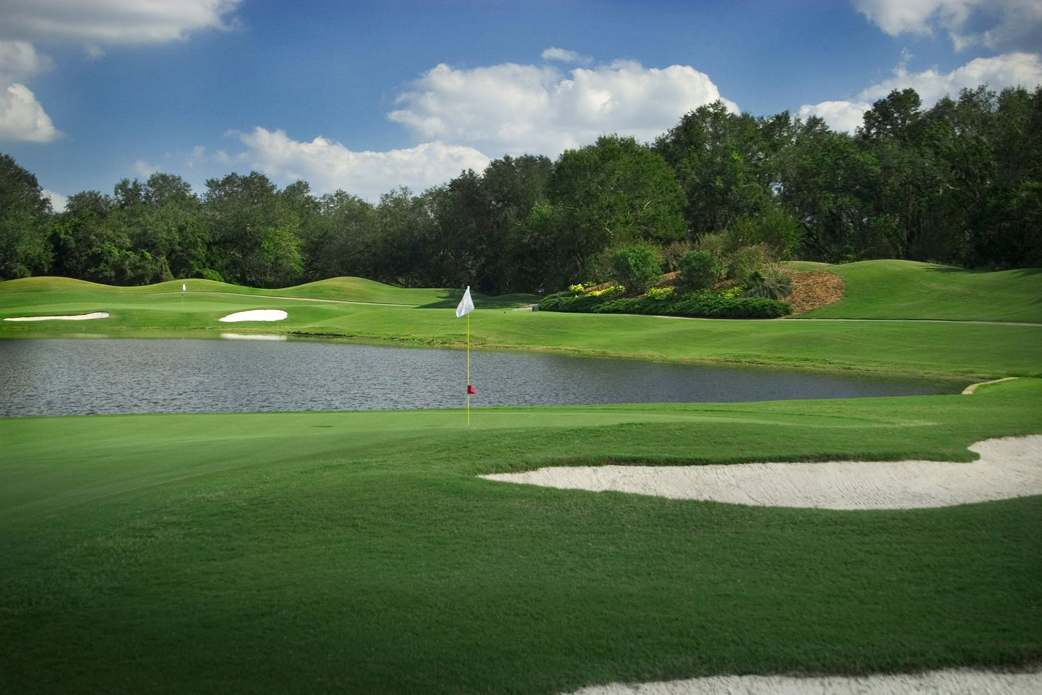 Saddlebrook Resort - Image 2