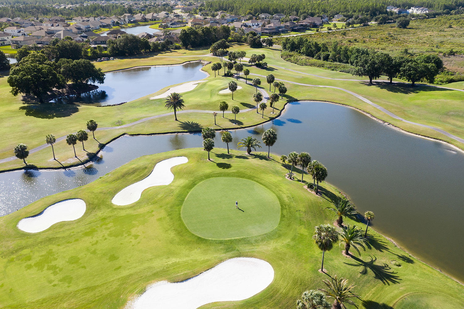 Saddlebrook Resort - Image 9