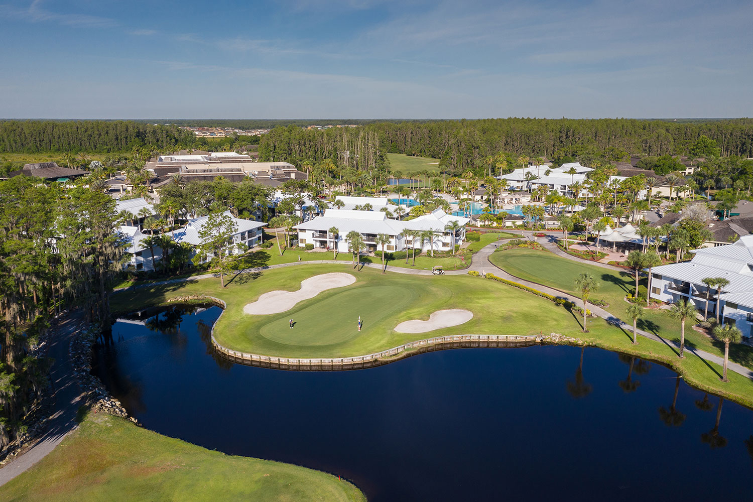 Saddlebrook Resort - Image 8